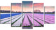 "Colorful Hyacinth Flowers at Sunrise" Canvas Photo Print, 5 Panels, 60"x32"