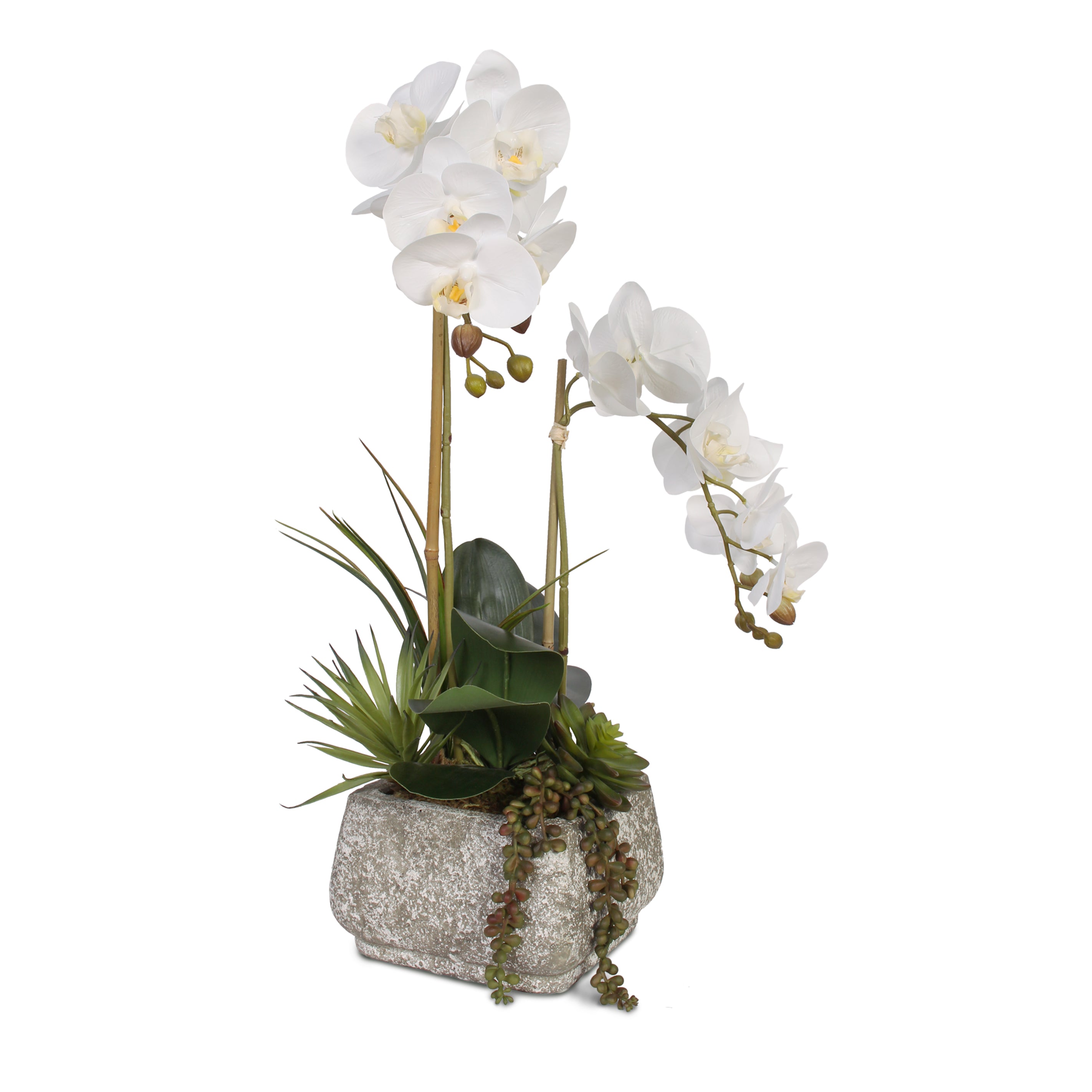 Real Touch Phalaenopsis Orchids With Succulents, Concrete Pot