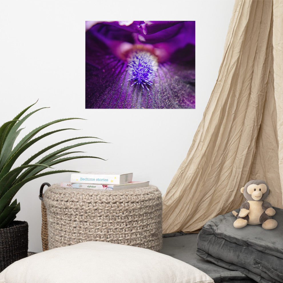 Eye of Iris Nature Photography, Floral Unframed Wall Art Print, 16" X 20"