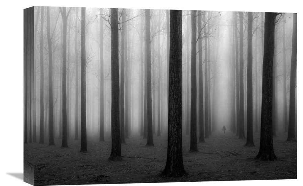 "In A Fog" Stretched Canvas Giclee by Jochen Bongaerts, 22x15"