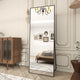 Easly Aluminum Alloy Framed Rectangular Floor Mirror, Black, 20x63