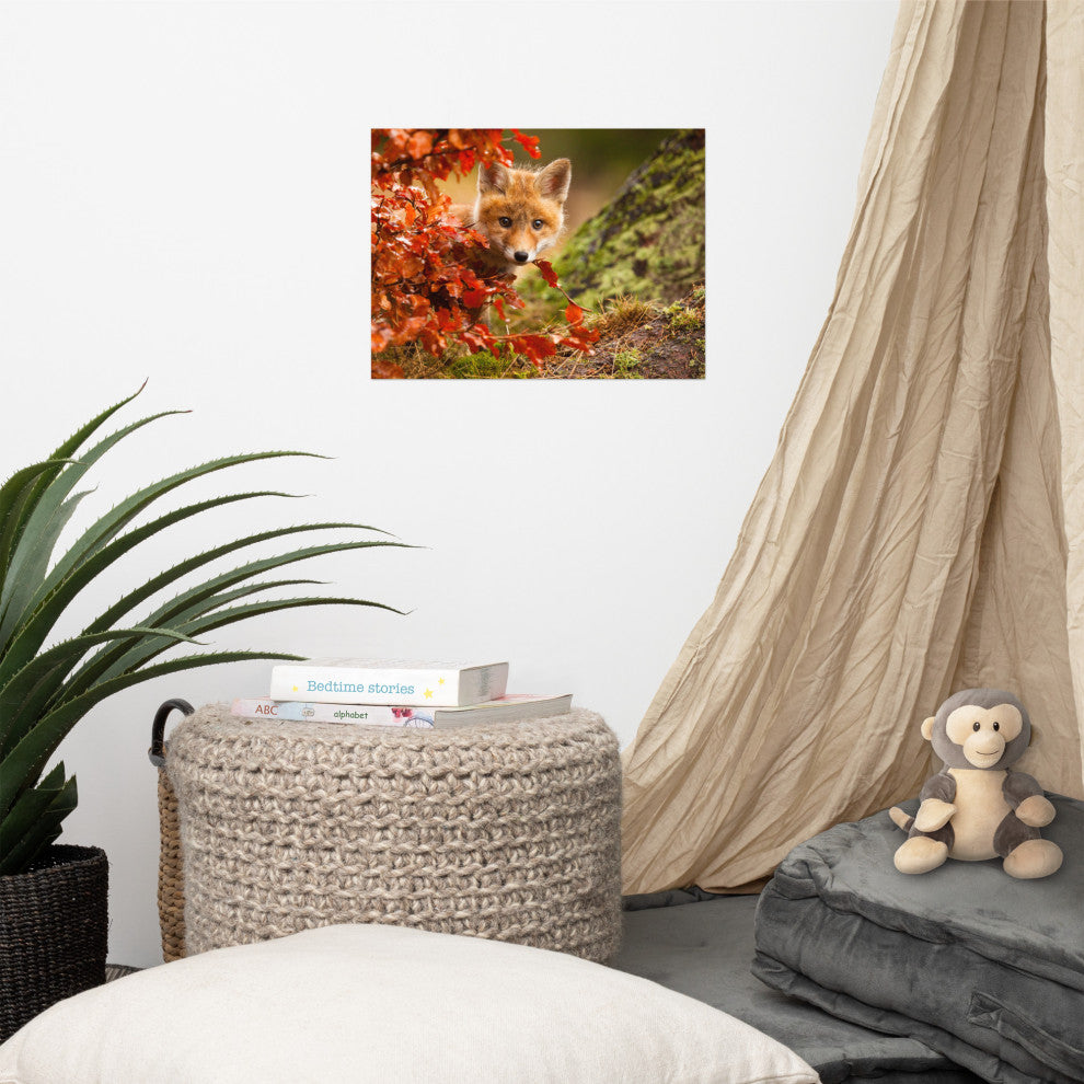 Baby Red Fox Face and Autumn Leaves Animal Wildlife Photo Loose Wall Art Print, 12" X 16"