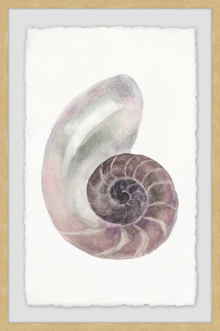"Usual Shell" Framed Painting Print, 8"x12"