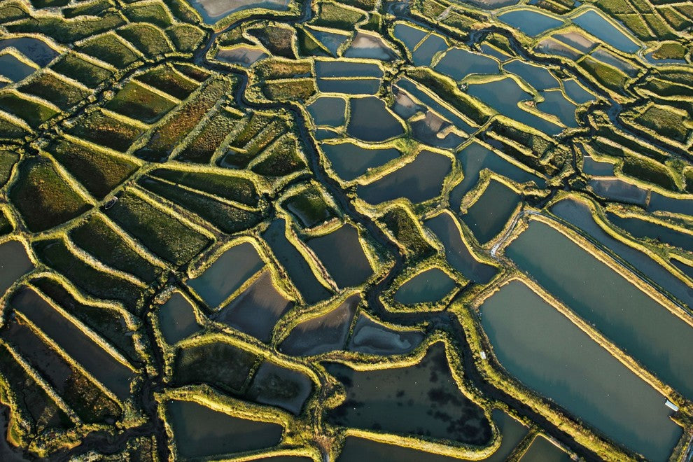 "Waterways" Painting Print on Wrapped Canvas