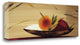 "Frutos De La Pasion I" By Lola Abellan, Giclee Print on Gallery Wrap Canvas