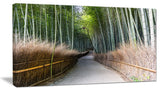 "Straight Path in Bamboo Forest" Forest Canvas Wall Art Print, 1 Panel, 60"x28"