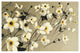 "Anemones Japonaises Blancs" Digital Paper Print by Shirley Novak, 50"x34"
