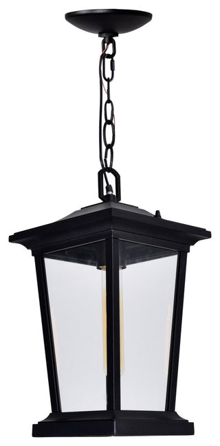 Leawood 1 Light Black Outdoor Hanging Light
