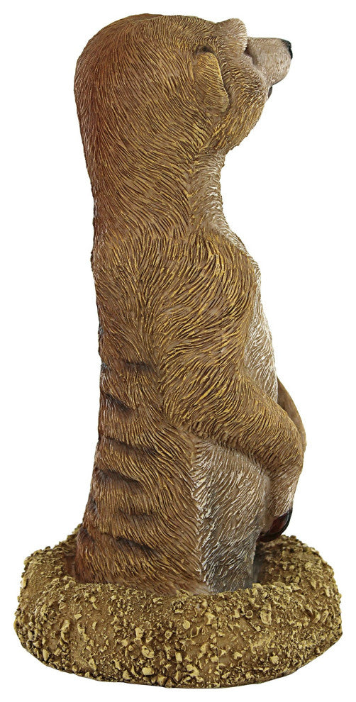 Meerkat Coming Out Of Ground Statue