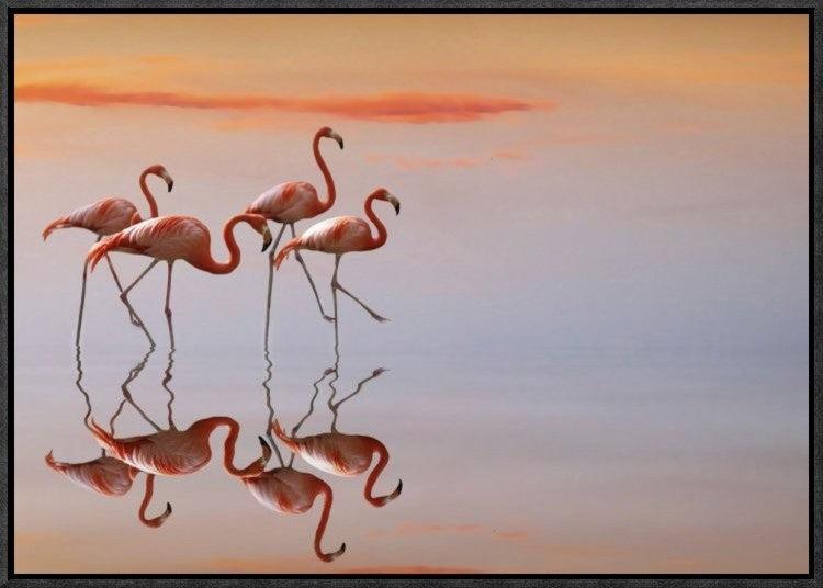 "Untitled" Framed Canvas Giclee by Anna Cseresnjes, 23x16"