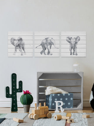 Baby Elephant Walk Triptych, 3-Piece Set, 24x24 Panels