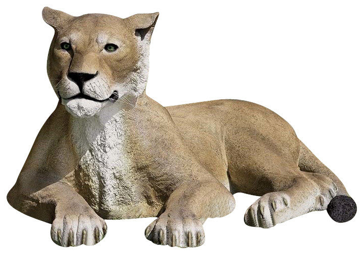 Grand Scale Lioness Lying Down