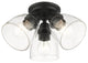 Black Transitional, Colonial, Updated Traditional, Flush Mount