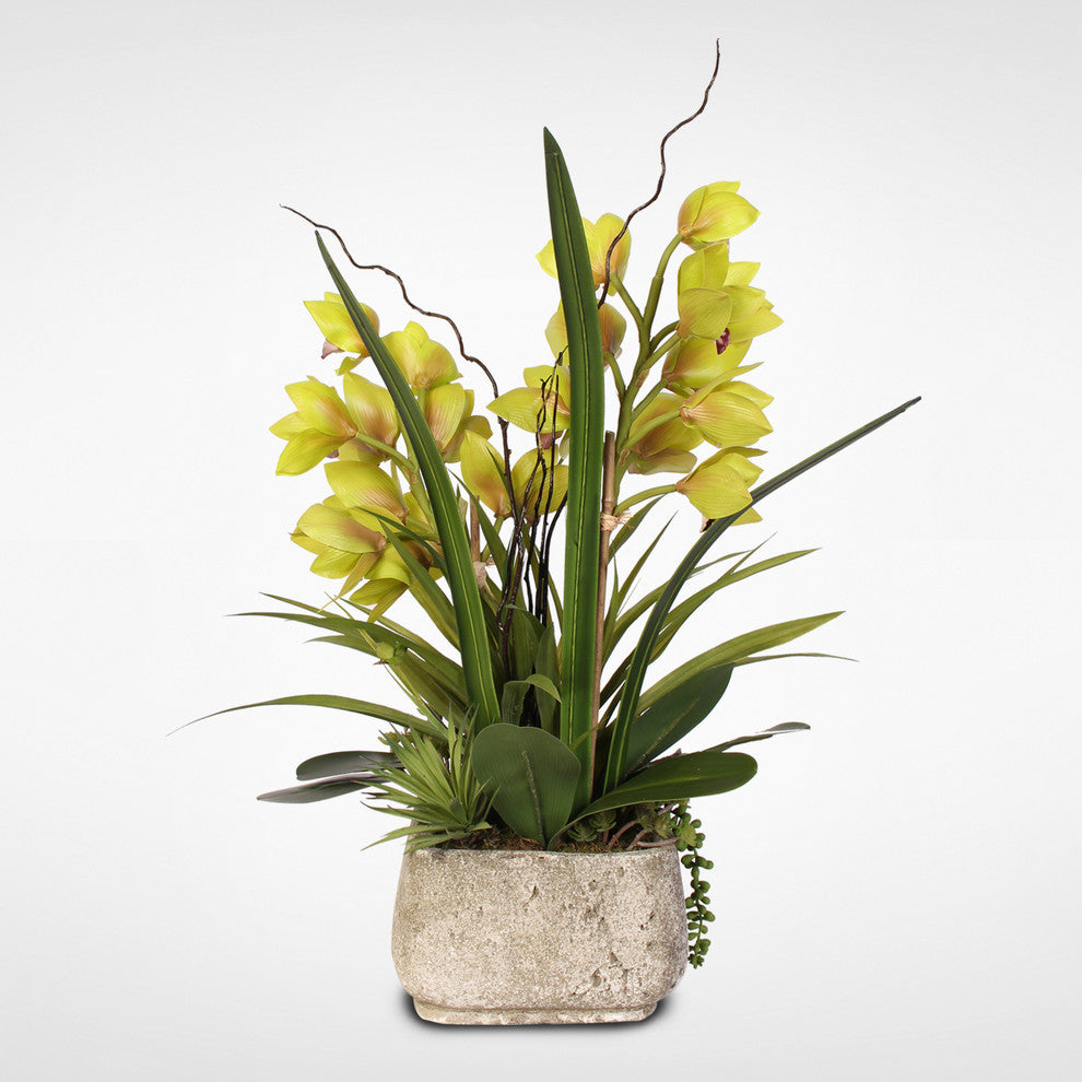 Alluring Green Real Touch Cymbidium Orchid & Succulents in a Textured Cement Pot