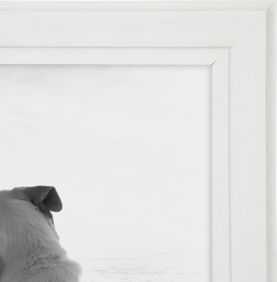 Kieva Solid Wood Picture Frame Set, Black 4x6, White, 8x10