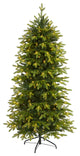 6ï¿½ Belgium Fir ï¿½Natural Lookï¿½ Christmas Tree with 300 Clear LED Lights
