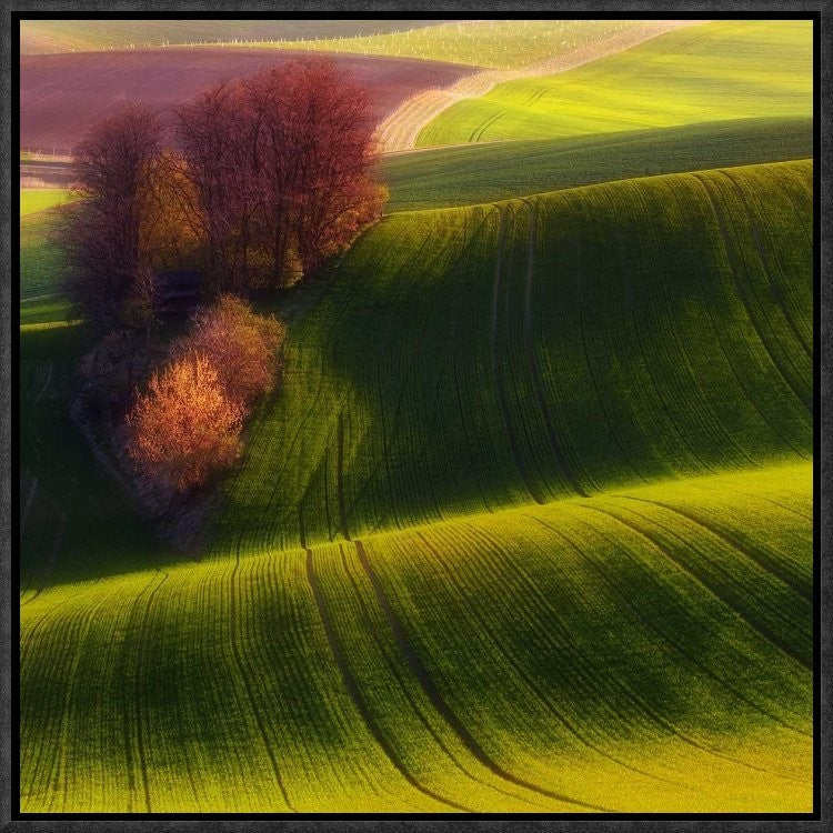 "Green Fields" Framed Canvas Giclee by Piotr (Bax) Krol, 17x17"