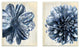 Indigo White & Tan Marble Blooming Flowers 2-Piece Wall Art Set, 10"x15"