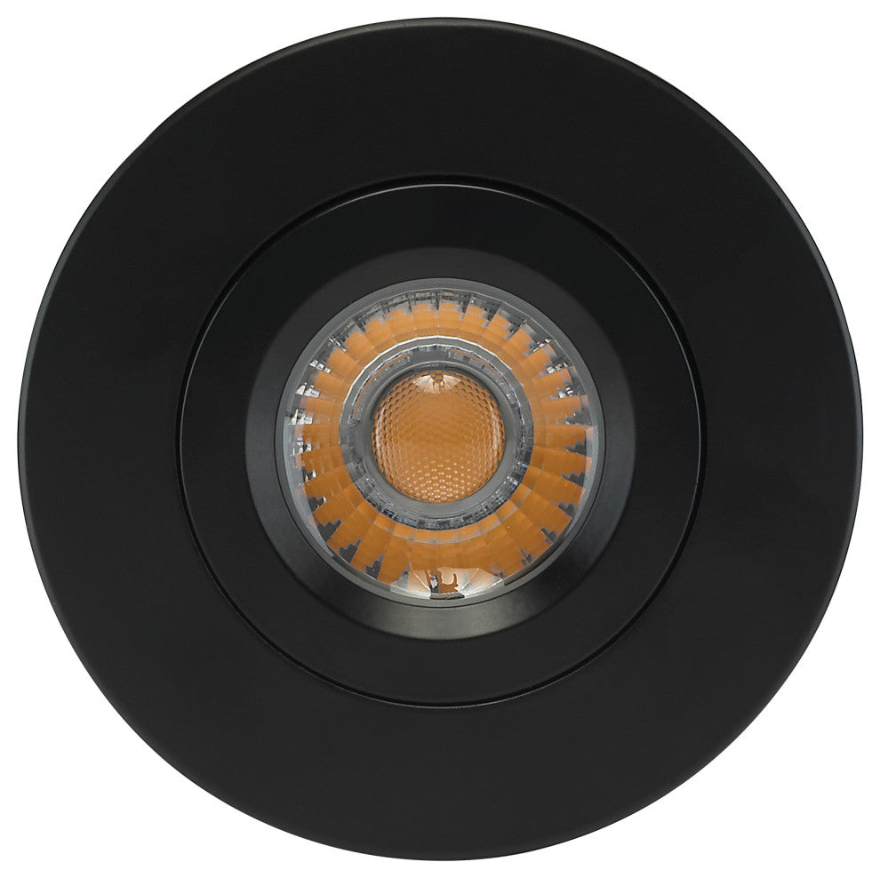 12 Watt LED Downlight - Gimbaled - 4 in. - 120 Volt - Round - Remote Driver