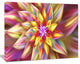 Large Multi Color Alien Fractal Flower, Large Floral Canvas Art Print, 60x40