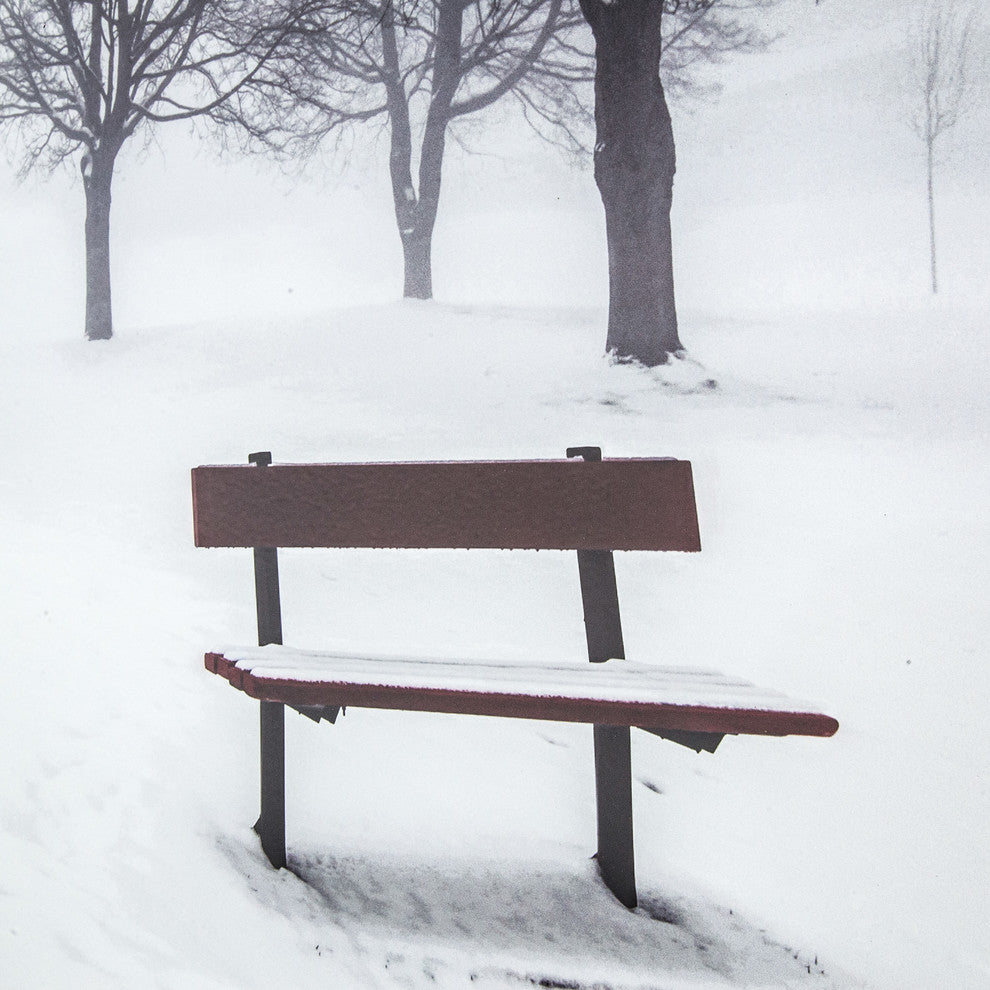 Winter's Morning Fog III