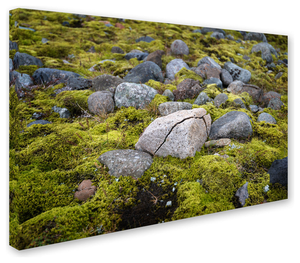 Philippe Sainte-Laudy ''Ancestry'' Canvas Art