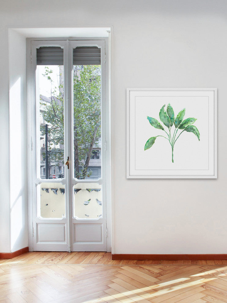 Marmont Hill, "Sage Herb" by Thimble Sparrow Framed Painting Print, 32x32