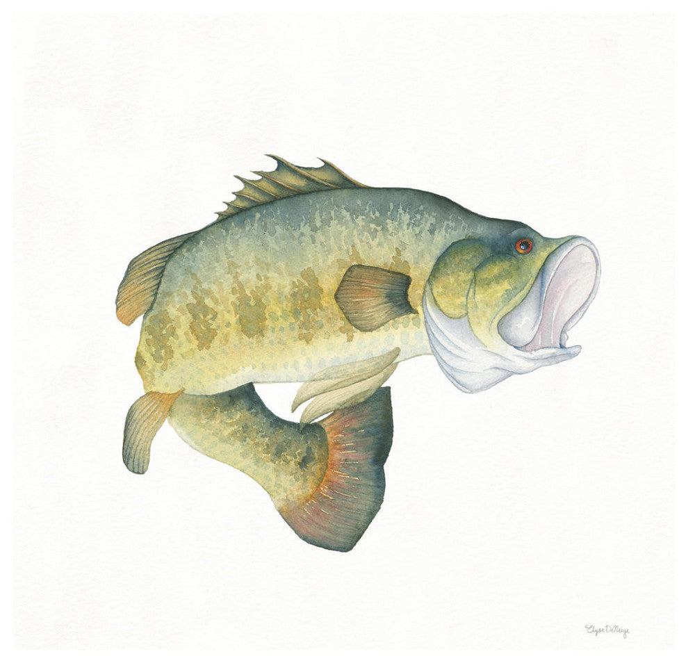 "Gone Fishin Large Mouth" Digital Paper Print by Elyse DeNeige, 42"x42"
