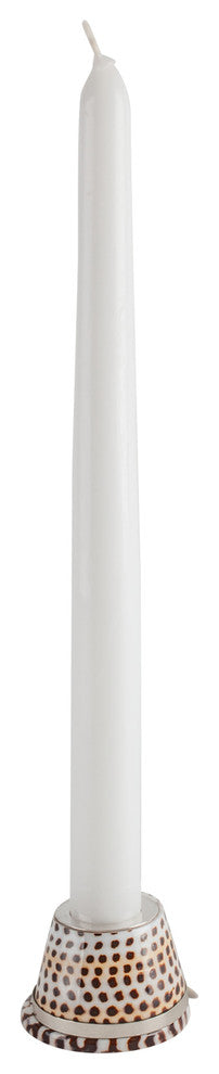 Littered Cone Shell Candle Holder with Sterling Silver