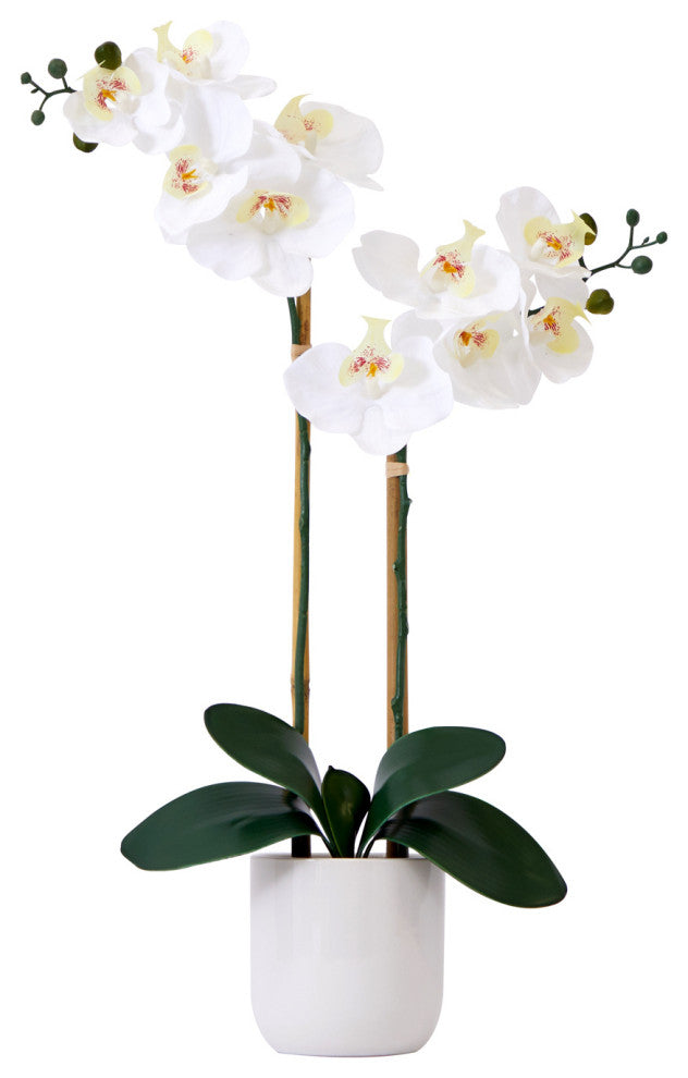 26in. Artificial Double Orchid Phalaenopsis with Decorative Vase (Real Touch)