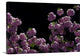 "Night Blossoms" Wrapped Canvas Art Print, 24"x16"x1.5"