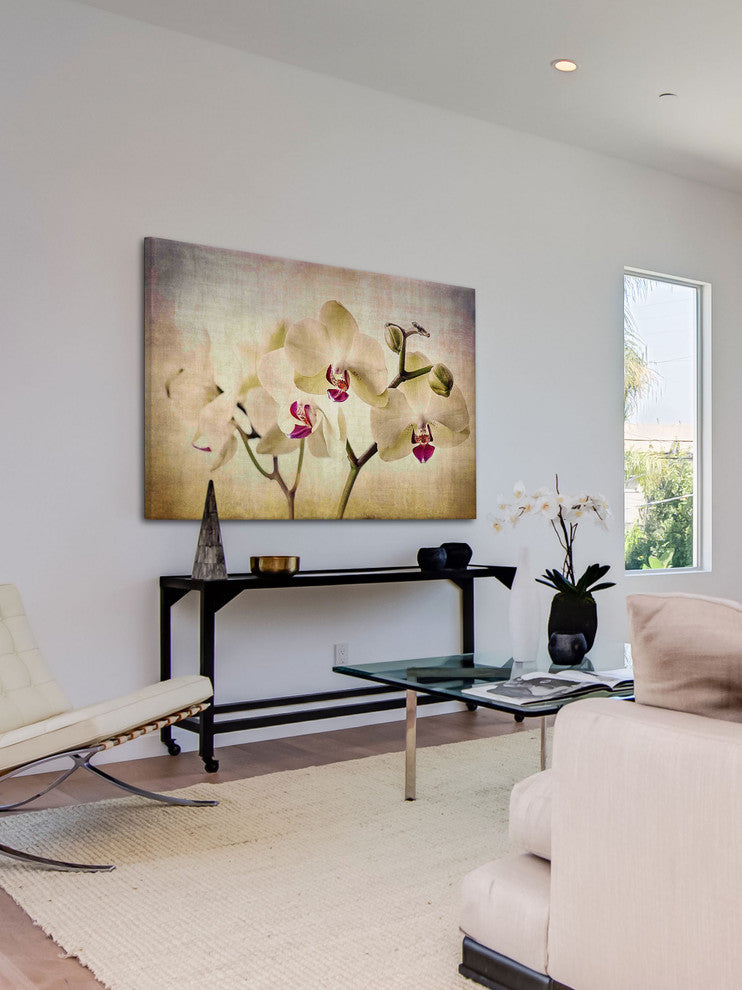 "Pale Orchids Wide" Painting Print on Canvas by Malek