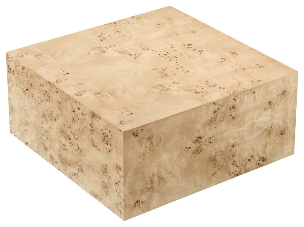MODWAY Cosmos 36" Square Burl Wood Coffee Table