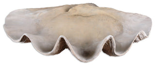 Uttermost 19800 Clam Decorative Bowls - Antique White