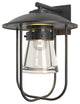 Erlenmeyer Large Outdoor Sconce, Coastal Black Finish, Clear Glass