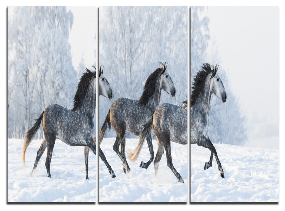 "Herd of Horses Run Across Snow" Metal Wall Art, 3 Panels, 36"x28"