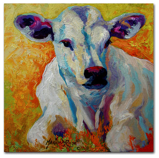 Marion Rose 'White Calf' Canvas Art, 24 x 24