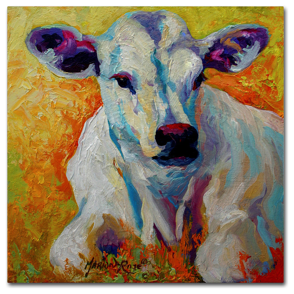 Marion Rose 'White Calf' Canvas Art, 24 x 24
