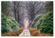 Cora Niele ''Rhododendron Lane'' Canvas Art