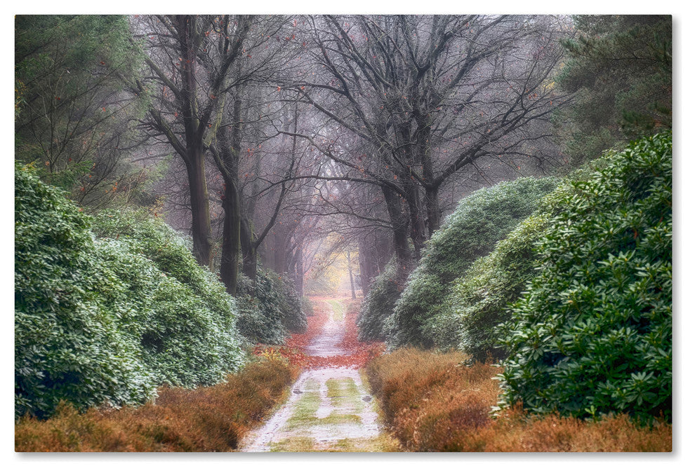 Cora Niele ''Rhododendron Lane'' Canvas Art
