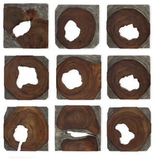 Uttermost 04349 2" Tall Wood Botanical Sculpture - Woodtone