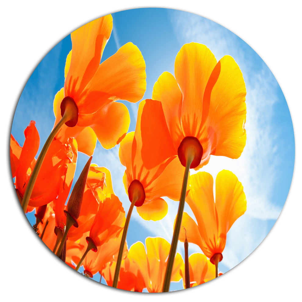 Yellow Spring Flowers On Blue, Modern Floral Disc Metal Wall Art, 23"