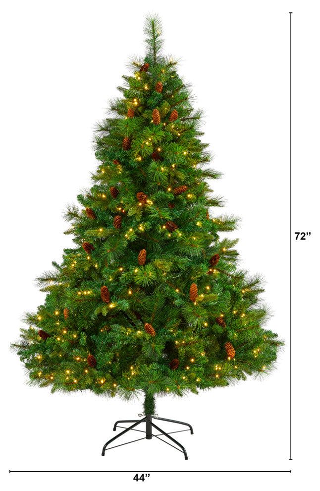 6ï¿½ West Virginia Full Bodied Mixed Pine Christmas Tree/ 300 Clear LED Lights