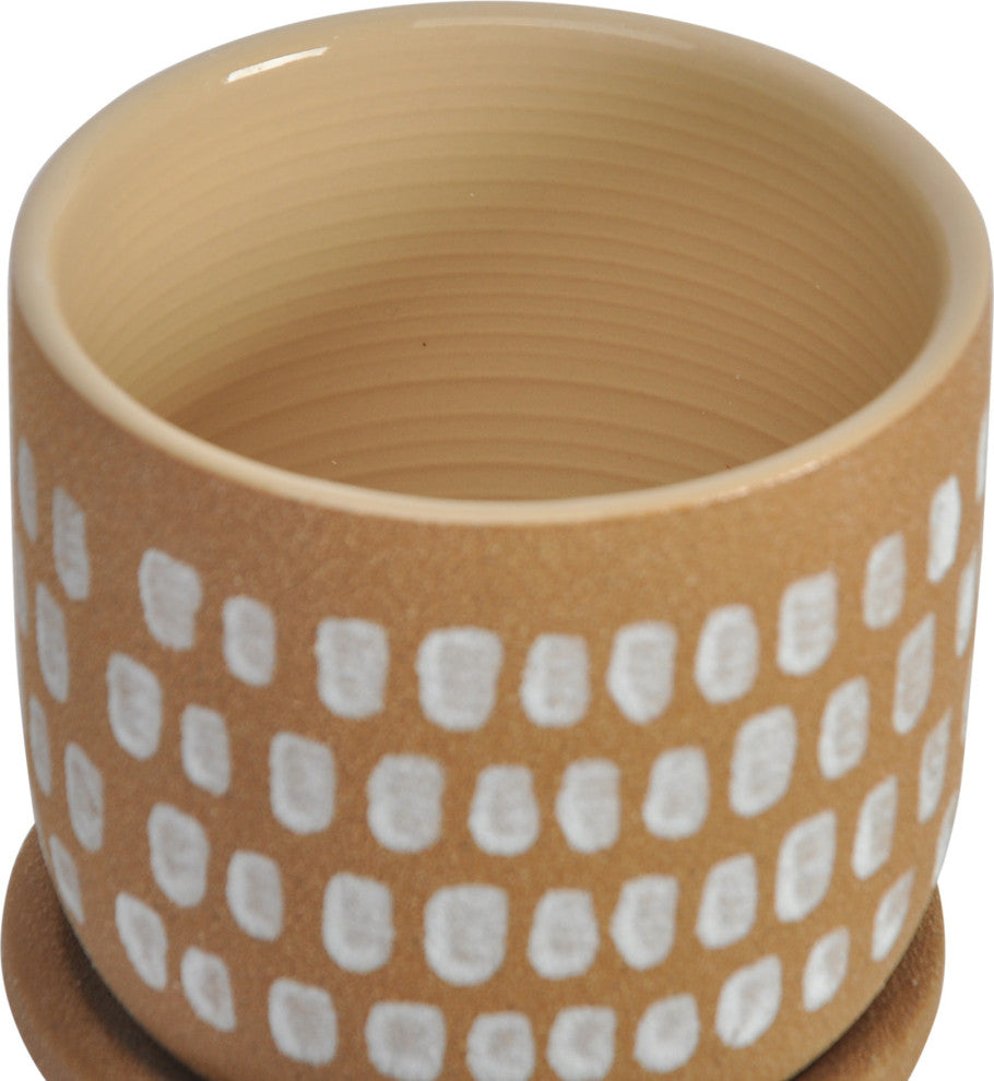 Contemporary Botanical Planter 5.75in Natural - Natural
