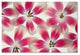 Cora Niele ''Ruby Red and White Tulips'' Canvas Art