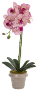20" Designer Phalaenopsis Orchid Artificial Arrangement