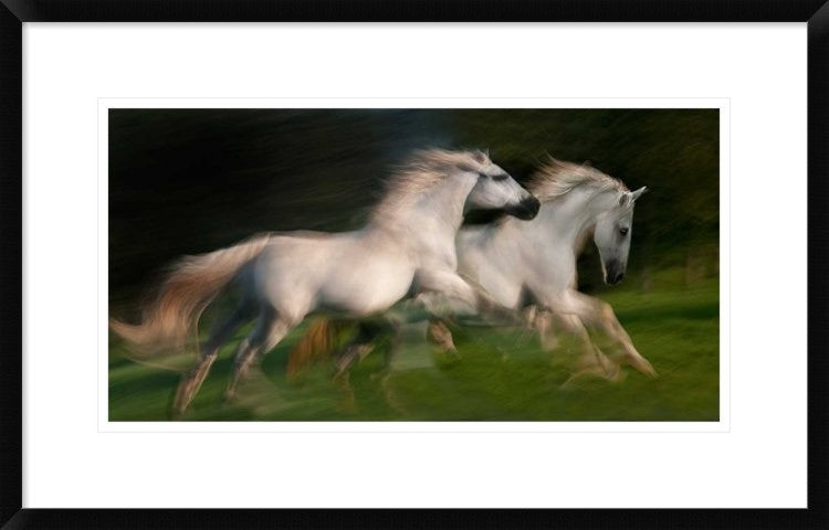 "Gallop For Two" Framed Digital Print by Milan Malovrh, 30"x19"