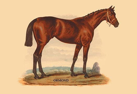 Ormond - Framed Paper Poster 20" x 30"