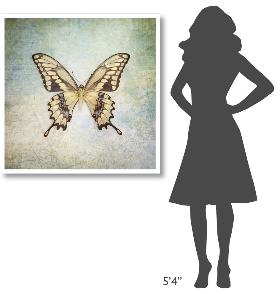 "French Butterfly VI" Digital Paper Print by Debra Van Swearingen, 38"x38"