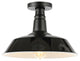 Camila 14" 1-Light Indoor/Outdoor LED Semi Flush Mount, Black